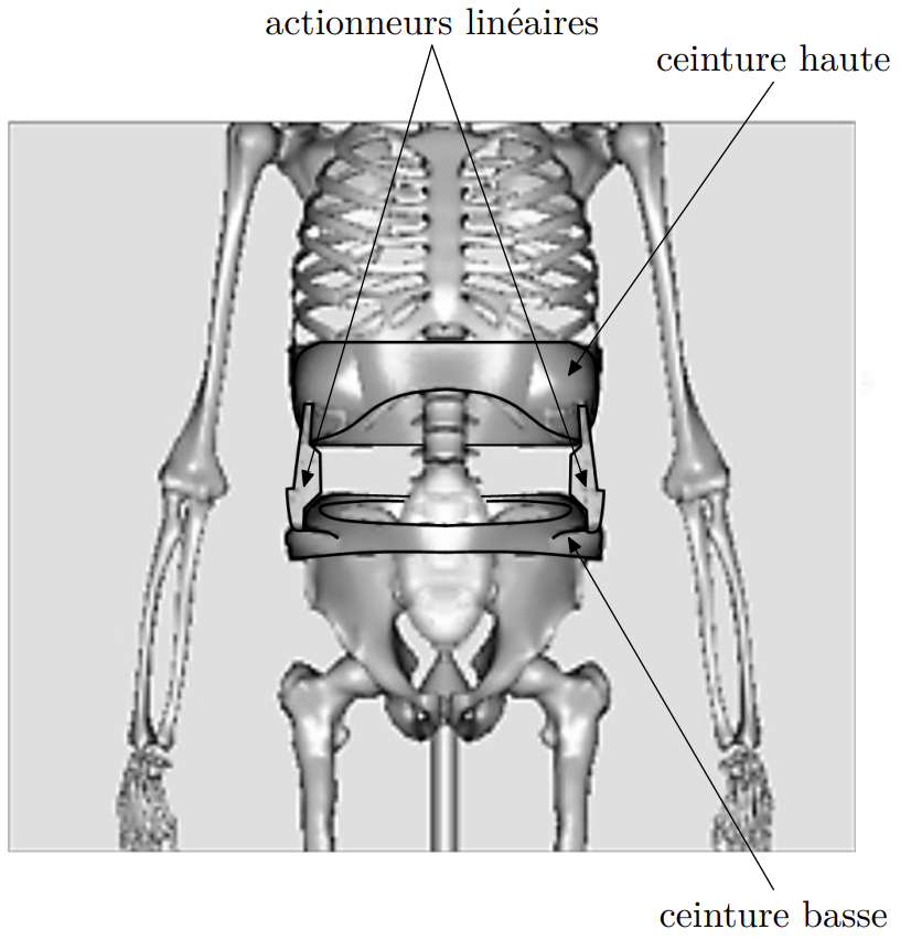 CCS-MP-2023-ExosqueletteLombaire-Support CCS-MP-2023-ExosqueletteLombaire-Support