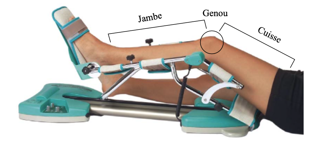 CCS-MP-2024-arthromoteur-Support