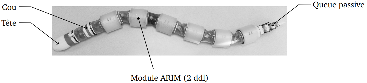CCINP-TSI-Mod-2026-StabilisationDunRobotSerpentiforme-Support CCINP-TSI-Mod-2026-StabilisationDunRobotSerpentiforme-Support